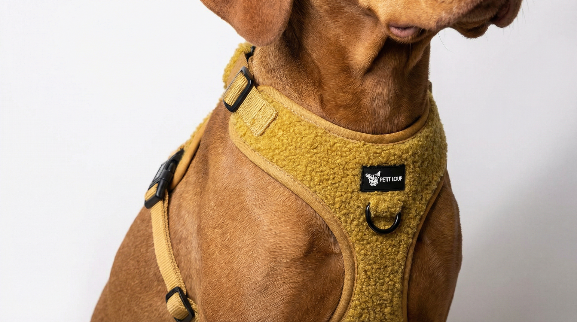 Dog Harness — Teddy Bear