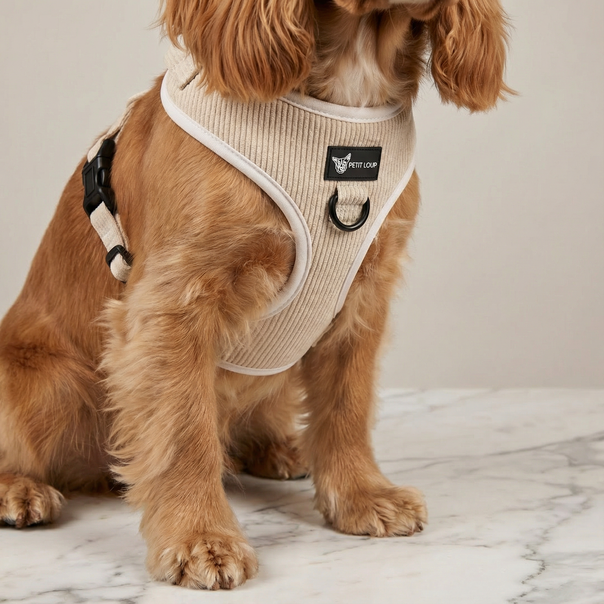 Dog Set — Cream Dream (Collar, Leash, Harness & Poop Bag Holder, Corduroy)