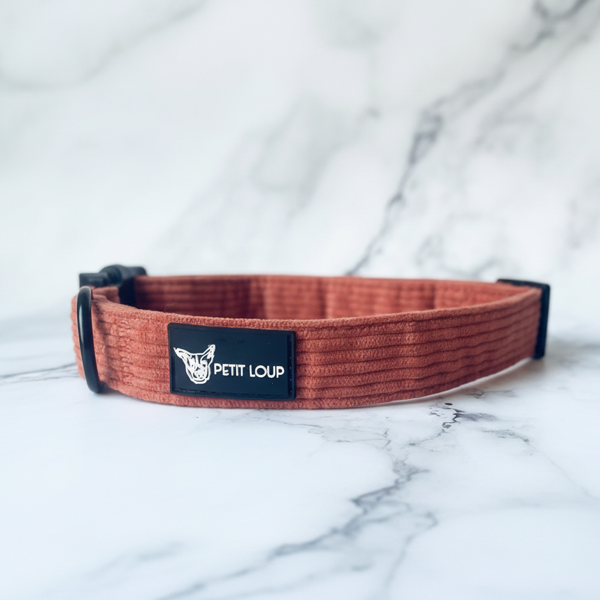Dog Collar — Orange Crush (Corduroy)
