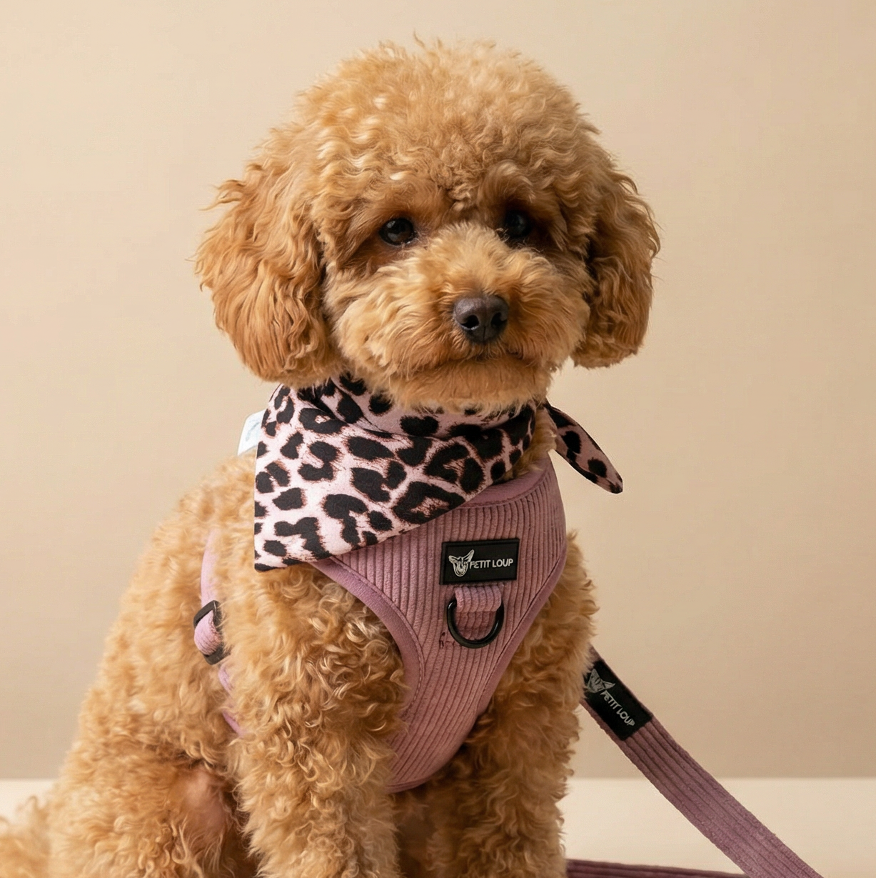 Dog Bandana — Lucy