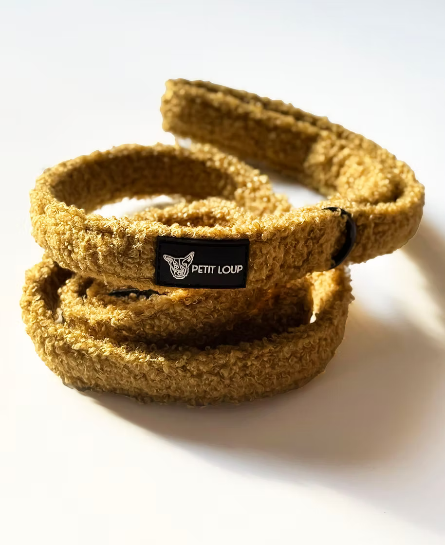 Dog Leash — Teddy Bear