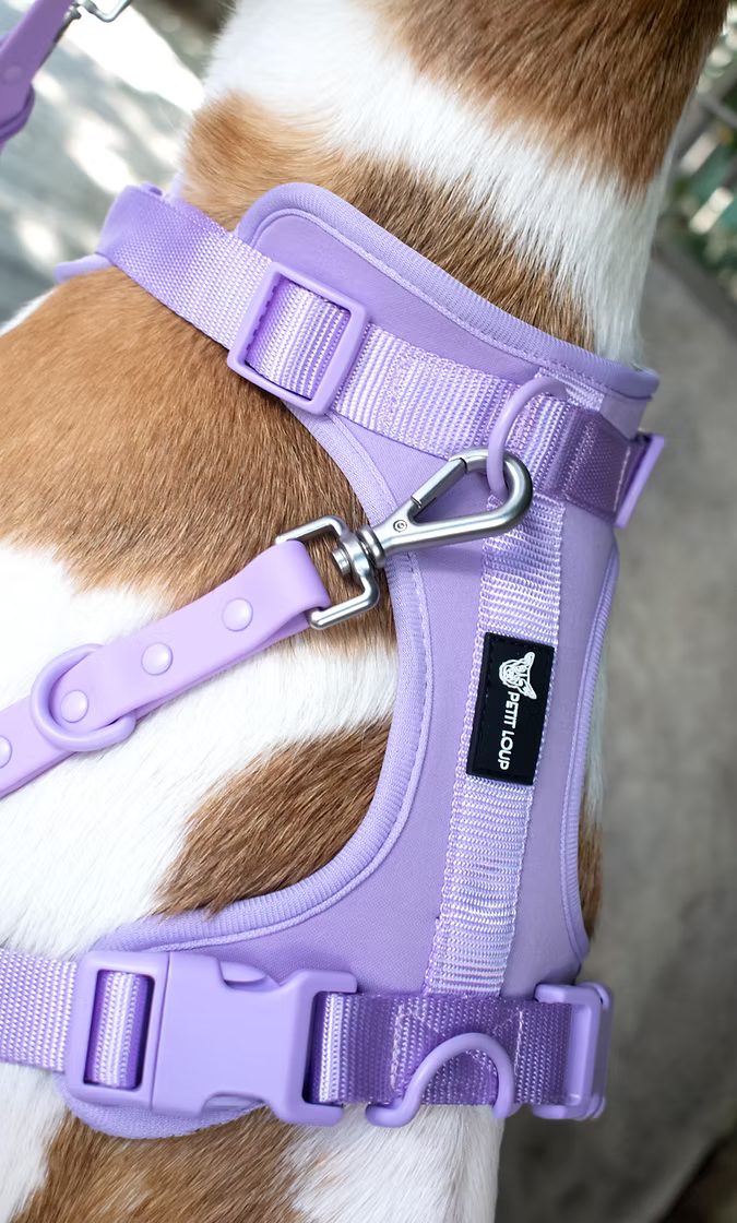 Dog Harness — Lavender Haze