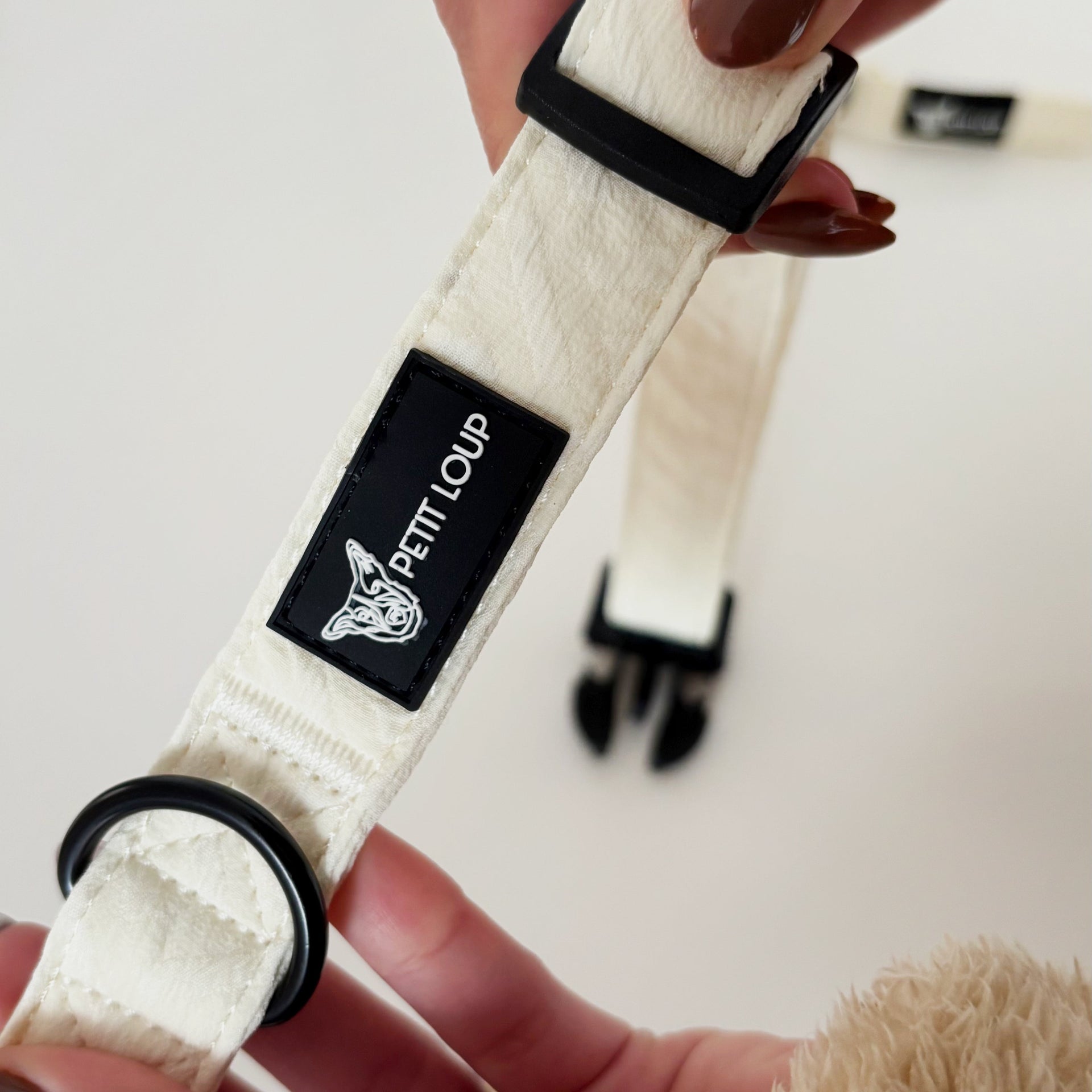 Dog Collar — Monaco (Cream)