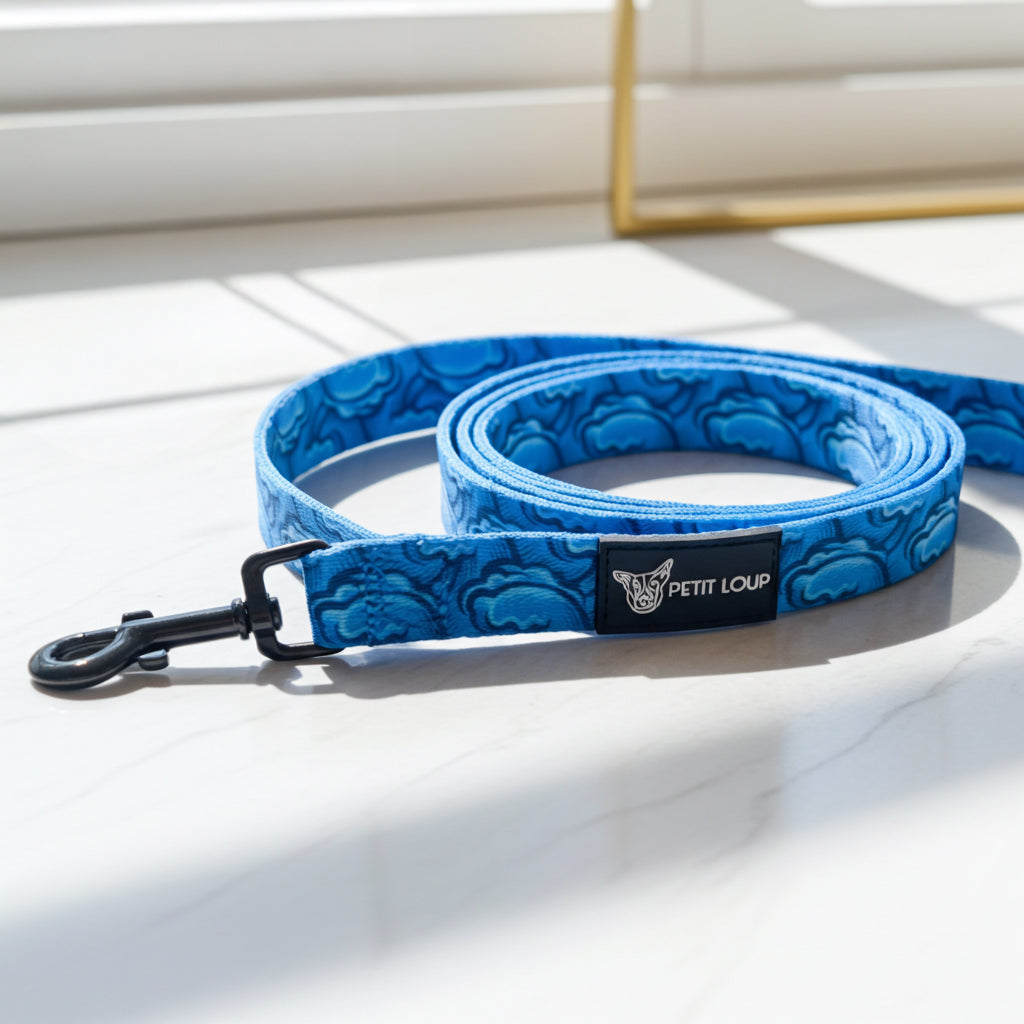 Dog Leash — Wave Rider (Neoprene)
