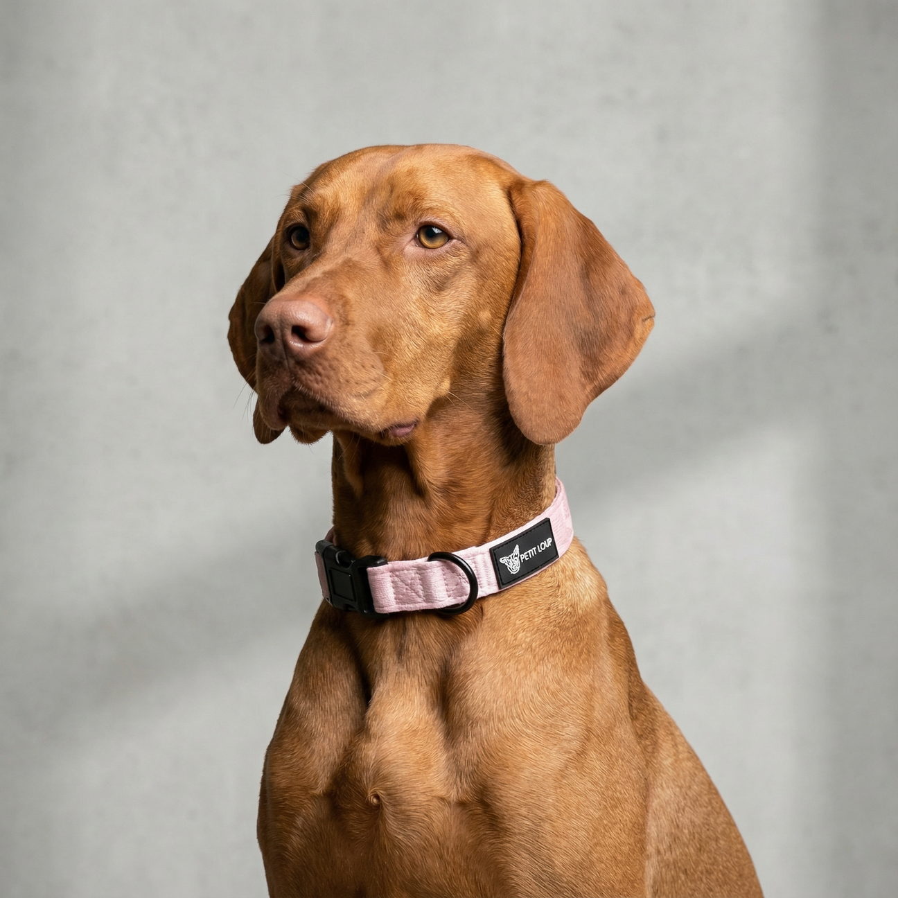 Dog Collar — Amour (Pink with Hearts)