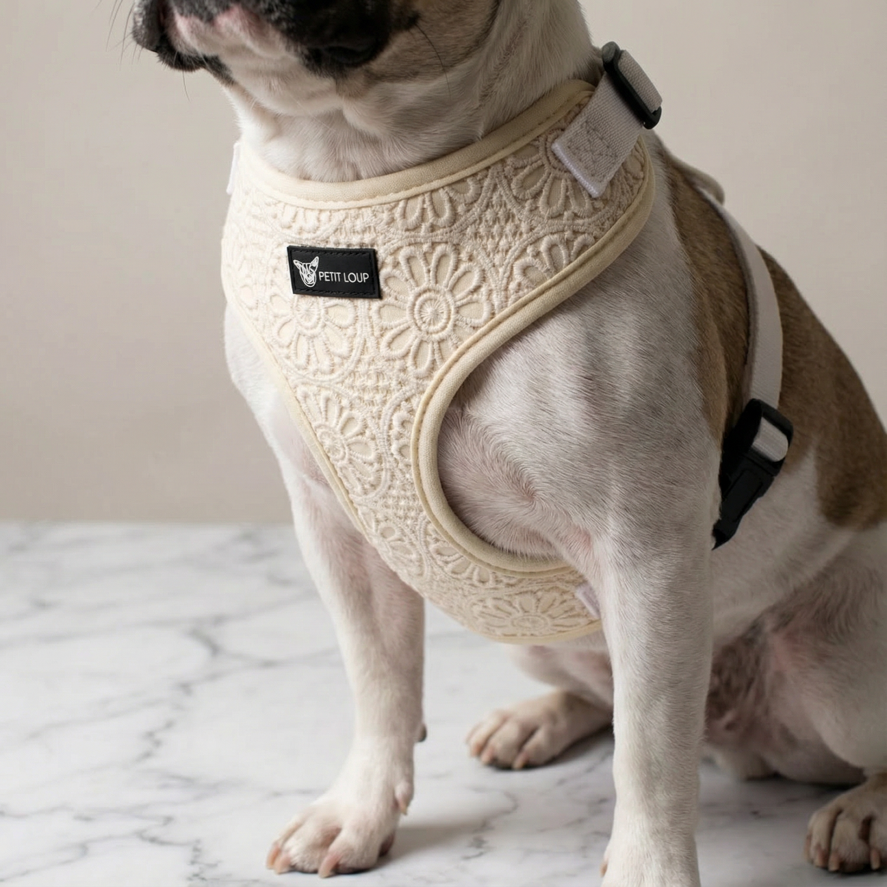 Dog Harness — Boho Chic (Crochet)