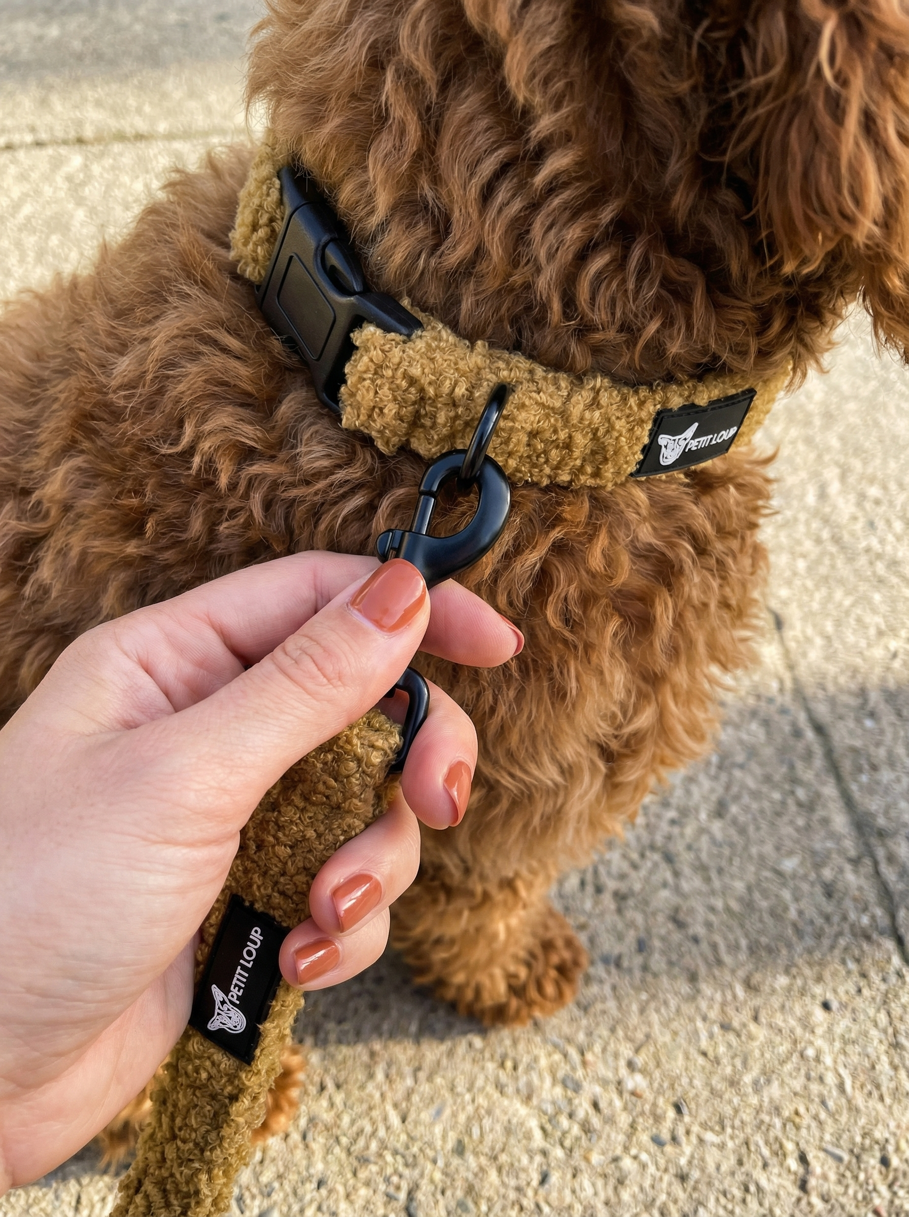 Dog Set — Teddy Bear (Collar, Leash, Harness & Poop Bag Holder)