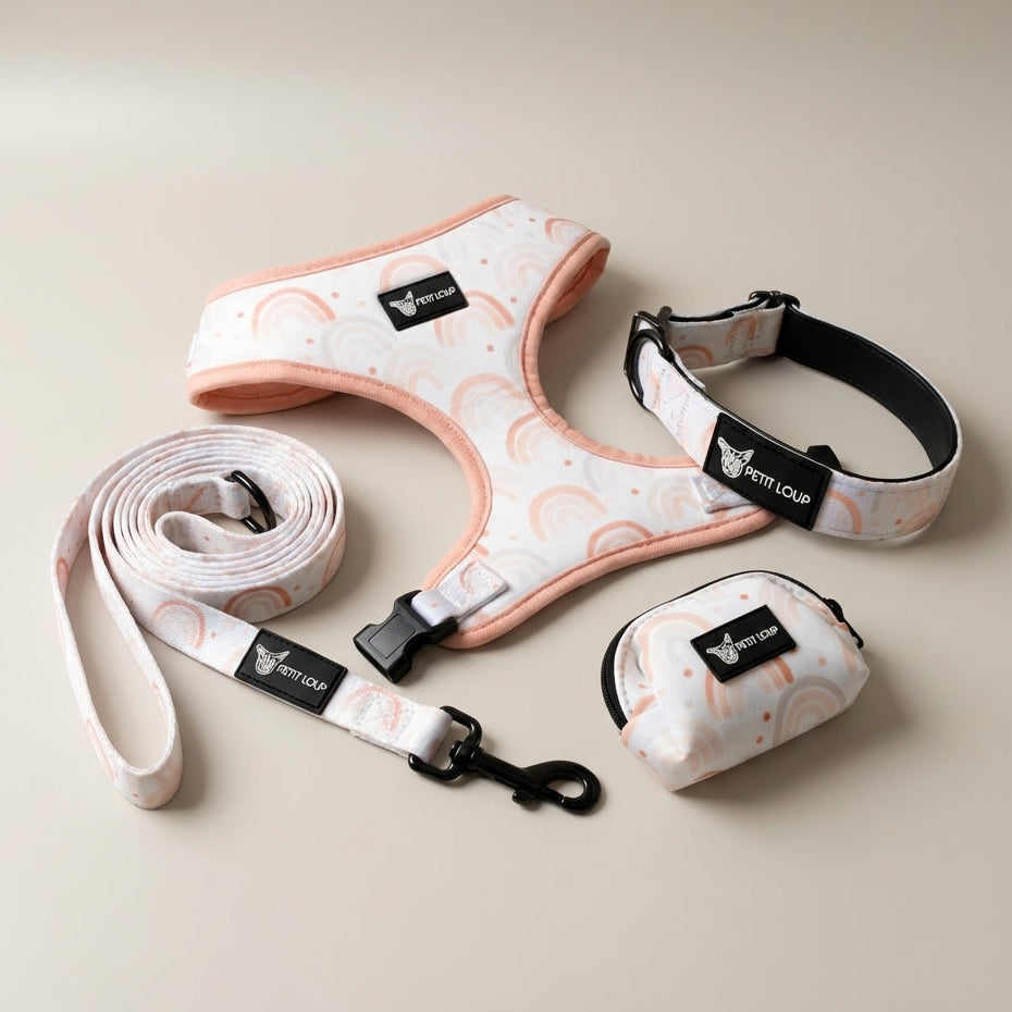 Dog Set — Rainbow Rush (Collar, Leash, Harness & Poop Bag Holder)