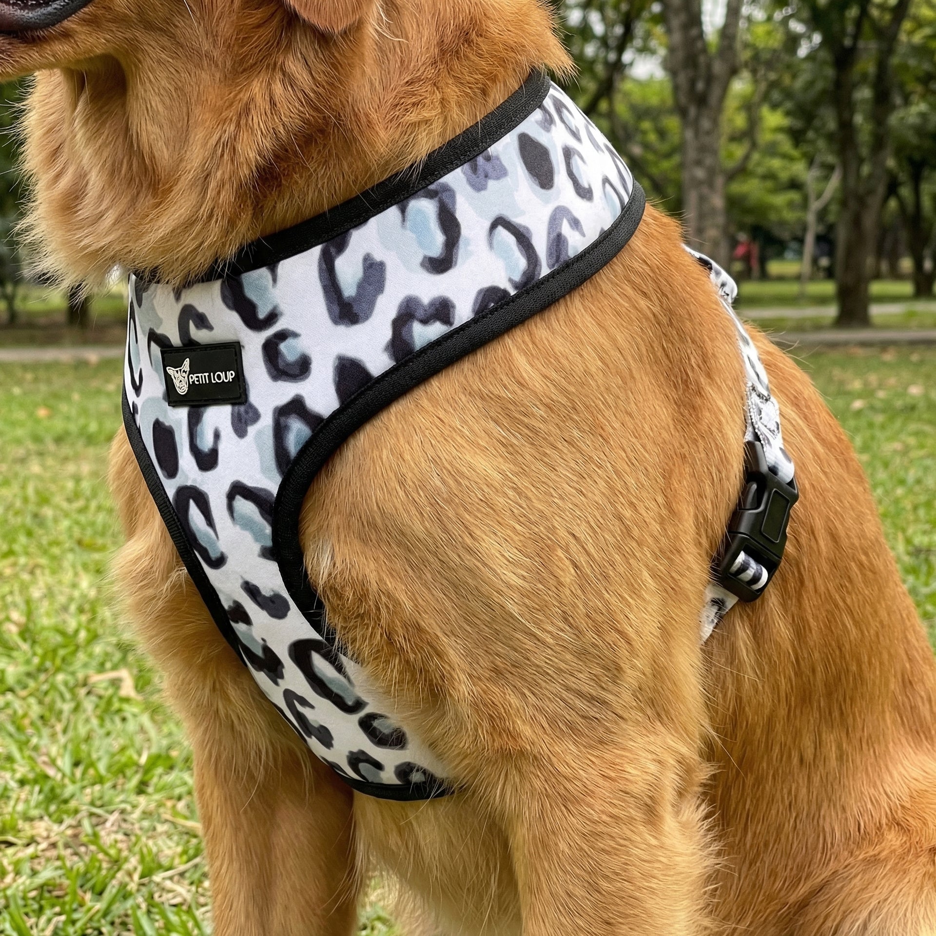 Dog Harness — Wild Paws (Neoprene)