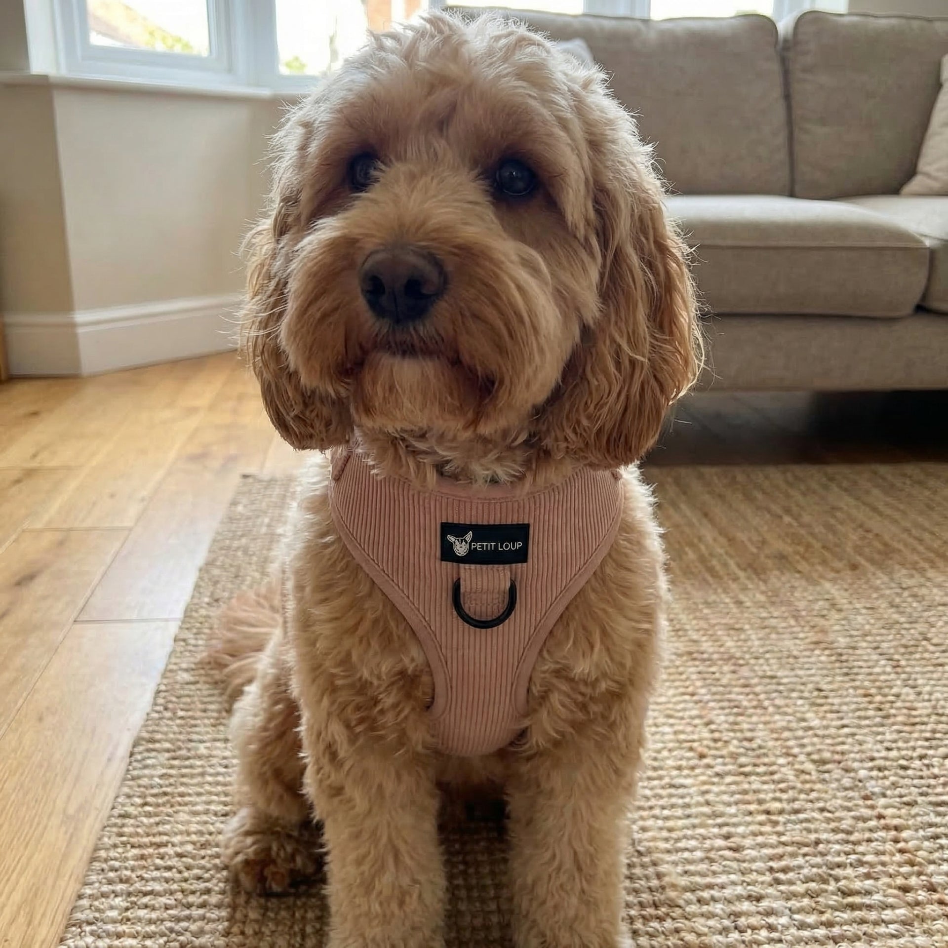 Dog Harness — Nude (Corduroy)