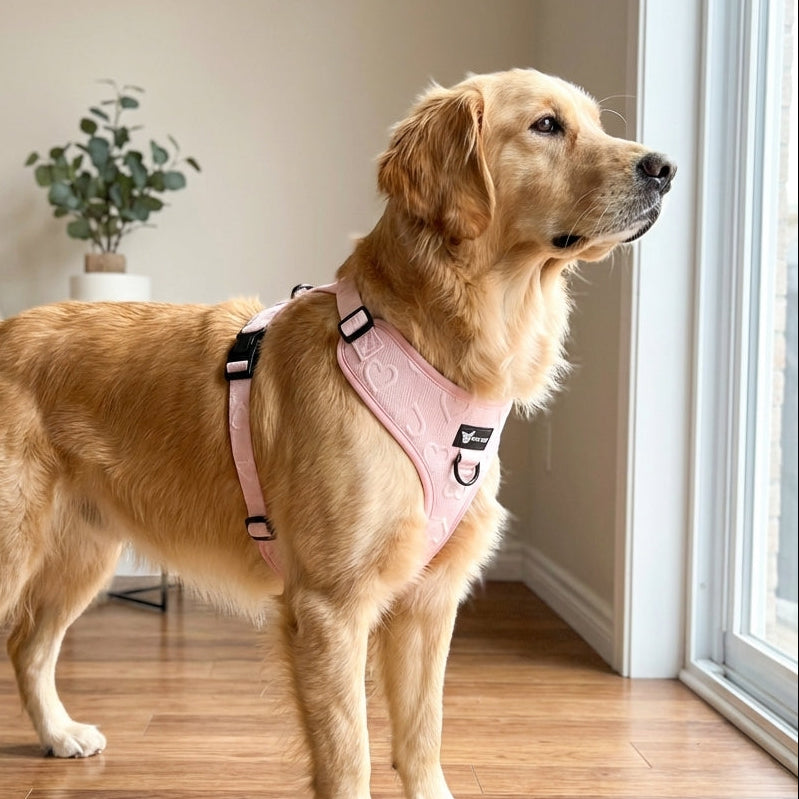 Dog Set — Amour (Collar, Leash, Harness & Poop Bag Holder, Pink with Hearts)