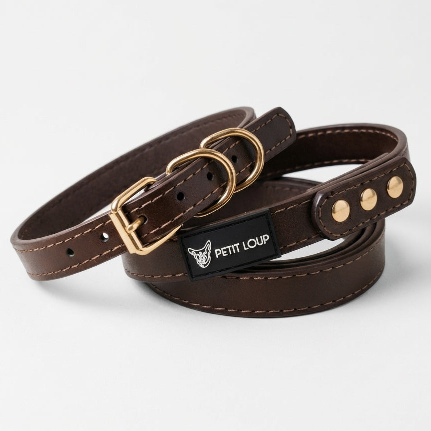 Dog Set — Duba (Collar + Leash, Chocolate Brown)